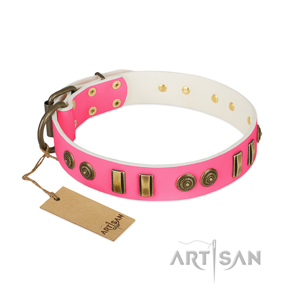 Amazing leather collar for your four-legged friend