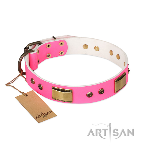 Handcrafted leather collar for your pet