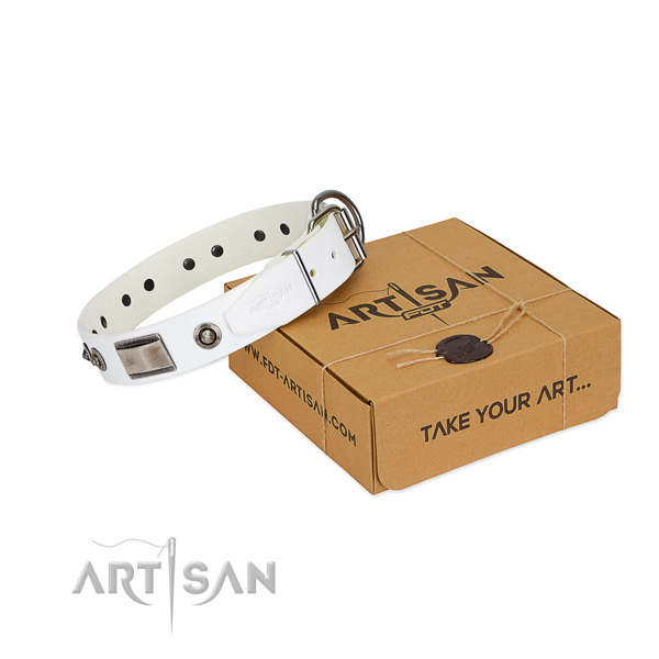 Stunning dog collar of full grain genuine leather with embellishments
