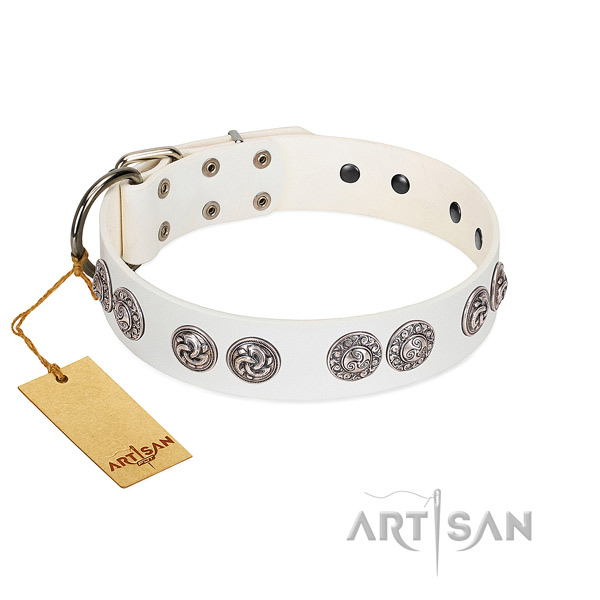 Exquisite genuine leather collar for your dog daily walking
