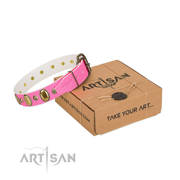 Stylish natural leather dog collar with reliable traditional buckle