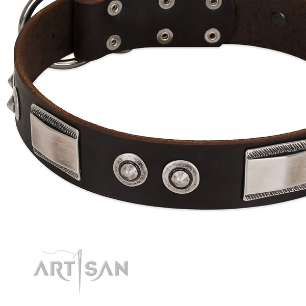 Exquisite full grain leather collar for your pet