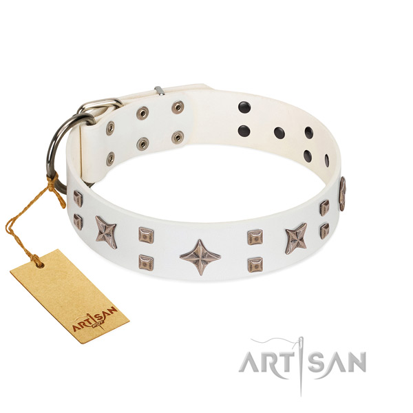 Comfy wearing genuine leather dog collar with exquisite adornments