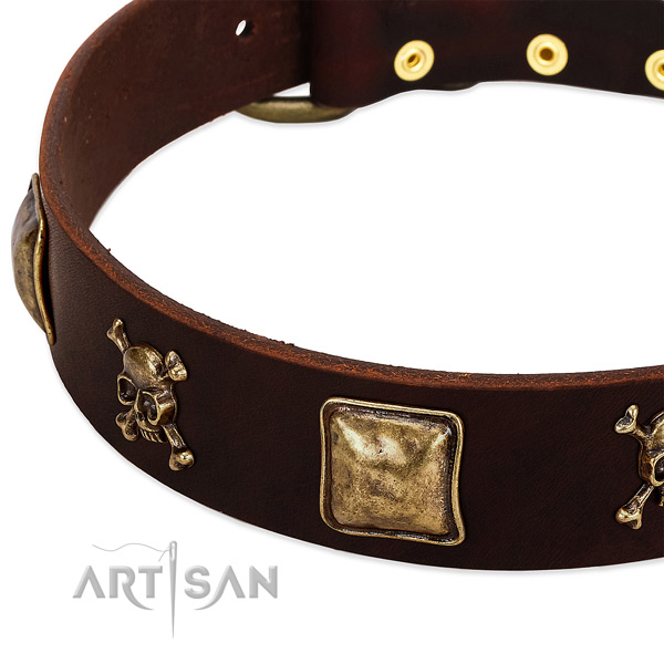 Reliable natural leather dog collar with exceptional studs