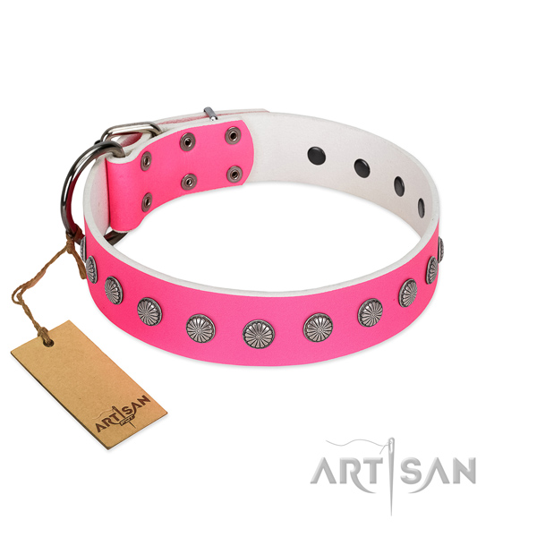 Remarkable studs on genuine leather collar for daily use your four-legged friend