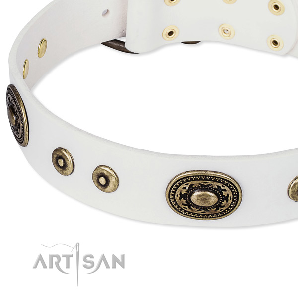 Genuine leather dog collar made of soft to touch material with embellishments