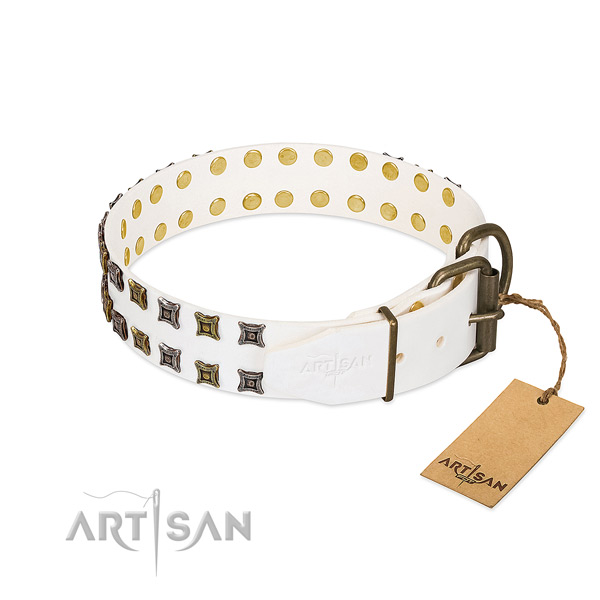 Natural leather collar with unique adornments for your canine