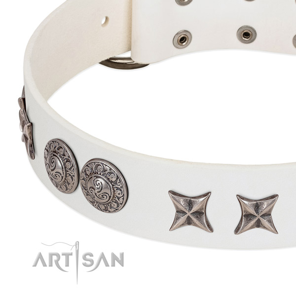 Top rate full grain genuine leather dog collar crafted for your doggie