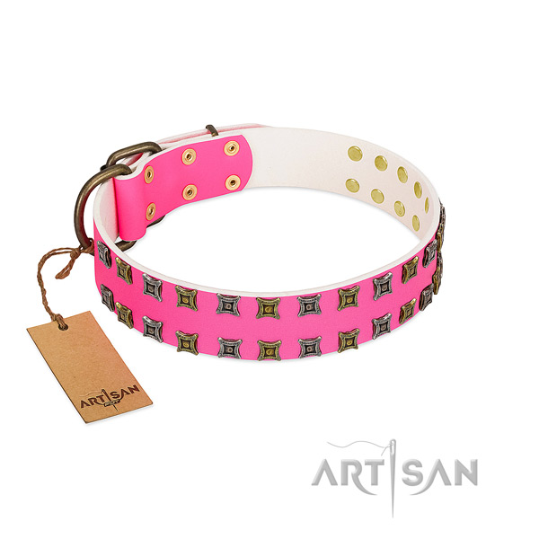 Full grain leather collar with exceptional adornments for your pet