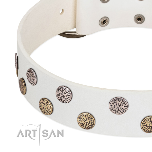 Impressive leather collar for easy wearing your doggie