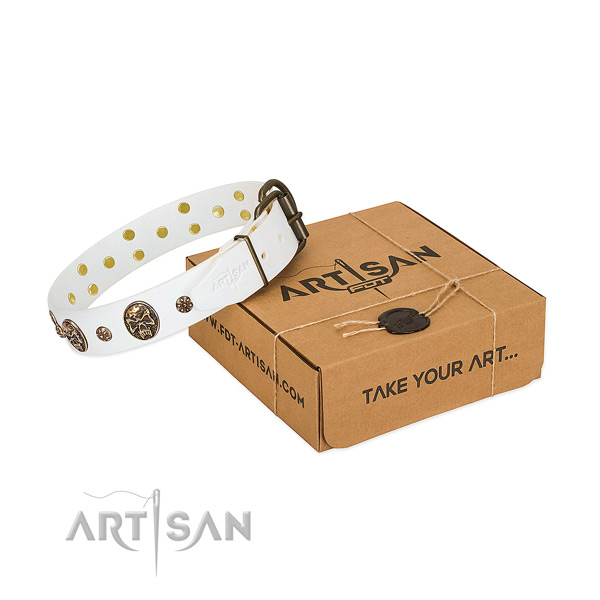 Stylish full grain natural leather collar for your stylish canine