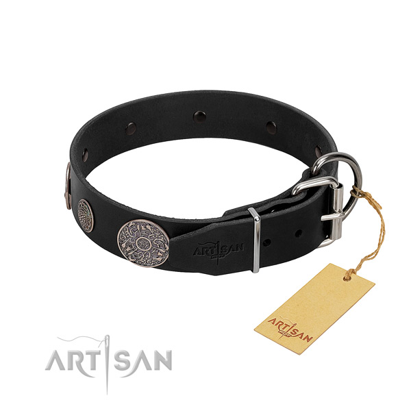 Rust resistant hardware on leather dog collar