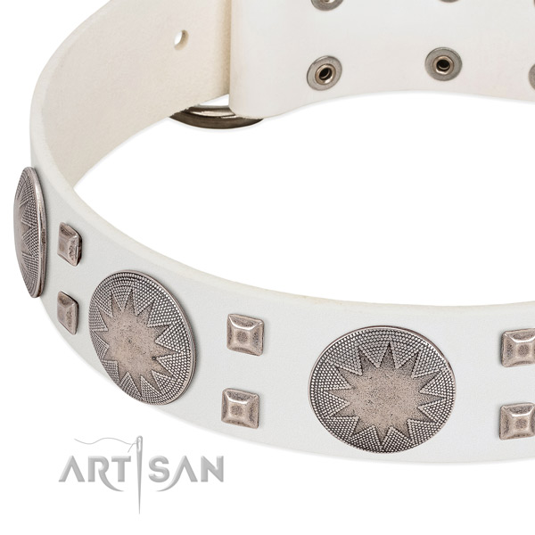 Corrosion resistant hardware on full grain leather collar for stylish walking your pet