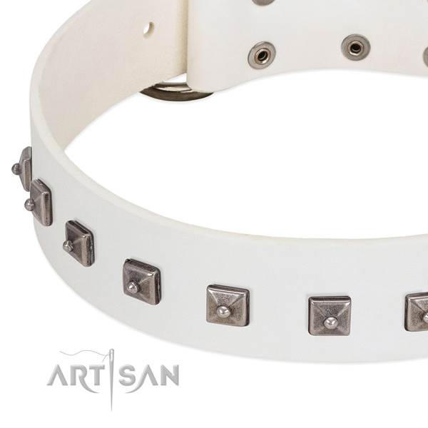 Top rate full grain natural leather dog collar with extraordinary adornments