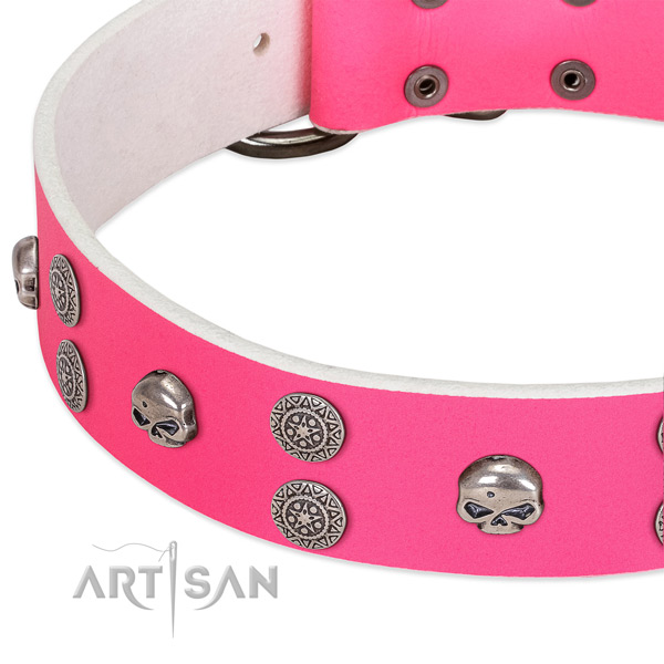 Quality full grain leather dog collar with amazing adornments