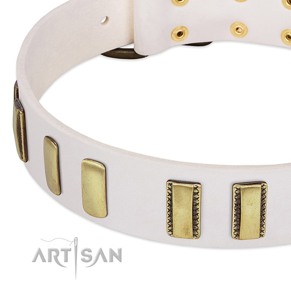 Soft to touch genuine leather dog collar with embellishments for handy use