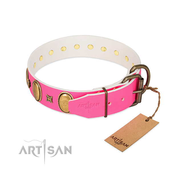 Strong leather collar crafted for your dog