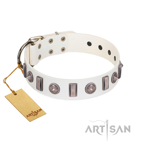 Flexible leather dog collar with adornments for your dog