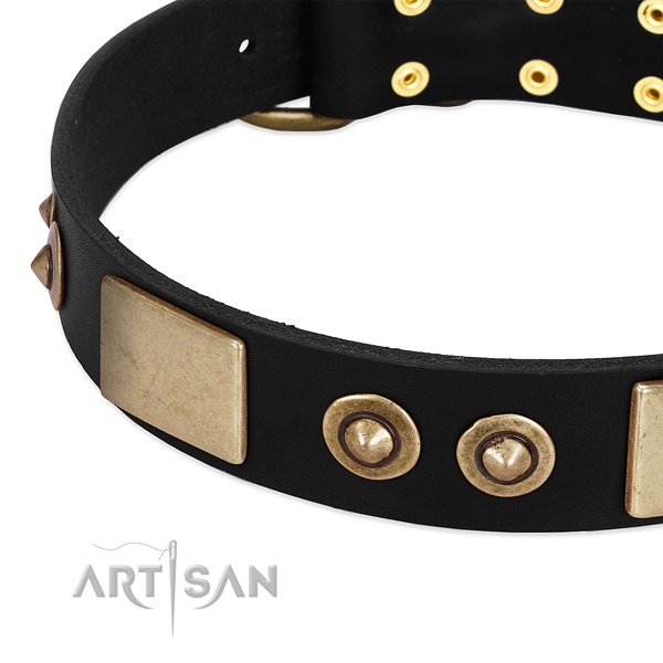 Rust resistant hardware on full grain leather dog collar for your dog