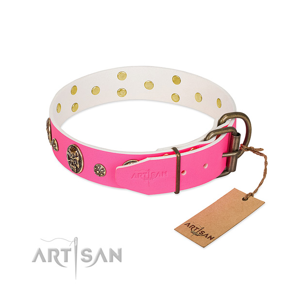 Corrosion resistant fittings on natural leather collar for basic training your dog
