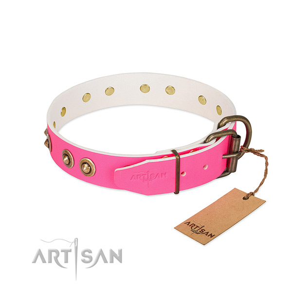 Leather dog collar with corrosion proof buckle and embellishments
