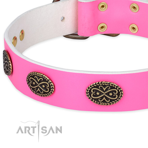 Full grain genuine leather dog collar with studs for everyday use
