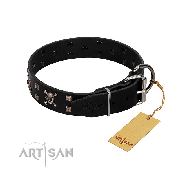 Stunning full grain natural leather dog collar with strong adornments