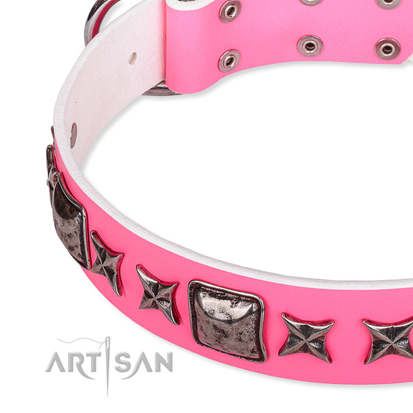 Comfortable wearing adorned dog collar of reliable full grain leather