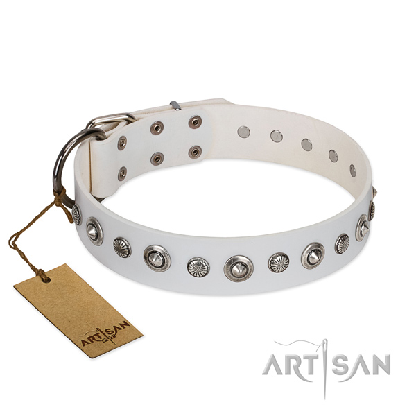 Best quality genuine leather dog collar with fashionable adornments