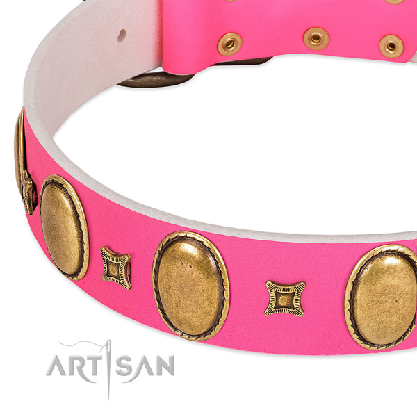 Reliable leather dog collar with decorations for everyday walking
