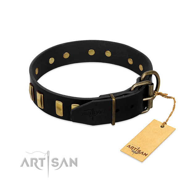 Genuine leather dog collar with rust-proof buckle for everyday walking