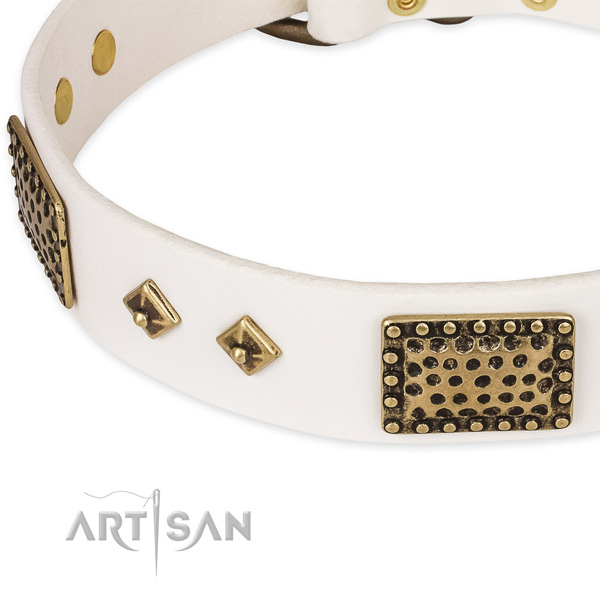 Reliable studs on leather dog collar for your doggie