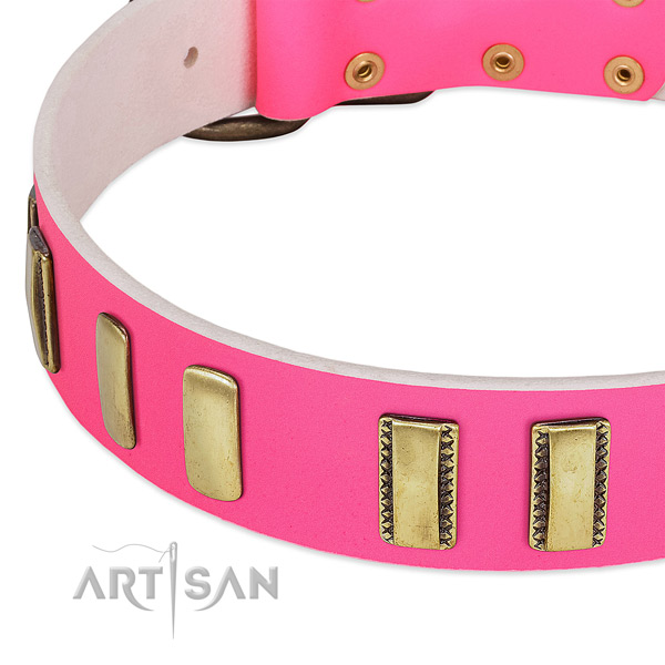 Flexible full grain genuine leather dog collar with adornments for daily walking