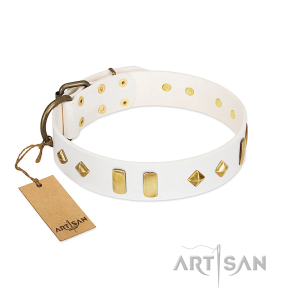 Handy use flexible full grain leather dog collar with adornments