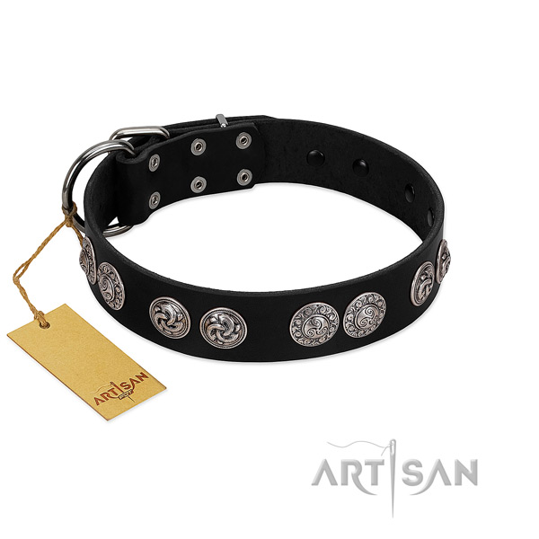 Exquisite full grain leather collar for your four-legged friend everyday walking