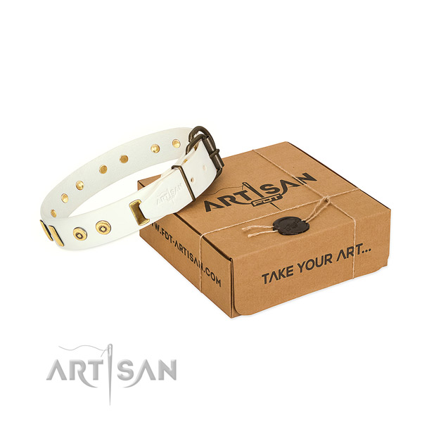 Leather dog collar with exquisite studs for everyday walking