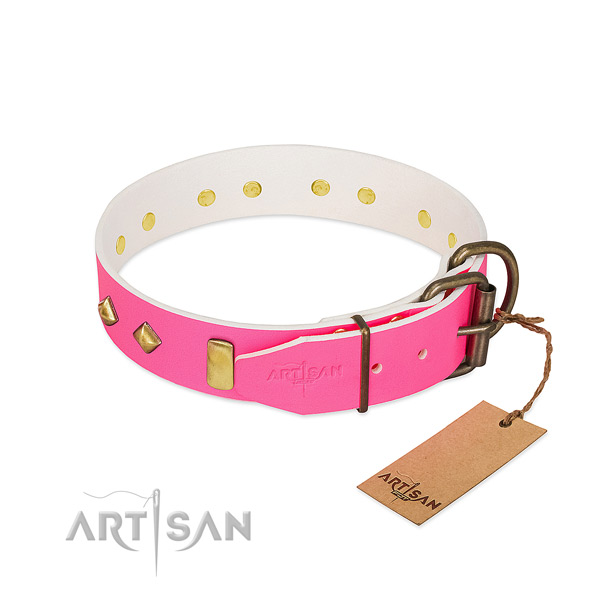 Full grain genuine leather dog collar with corrosion resistant hardware for everyday use