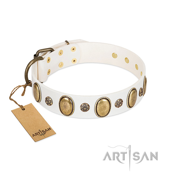 Everyday use high quality leather dog collar with adornments