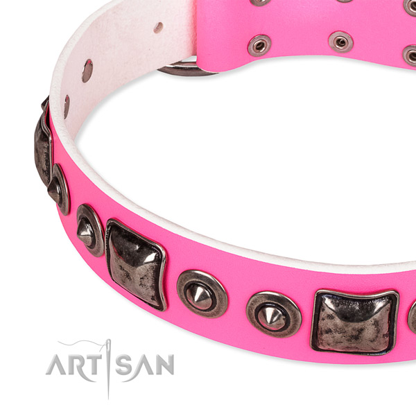 Top notch full grain genuine leather dog collar handcrafted for your impressive dog