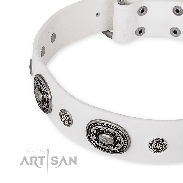 Gentle to touch full grain leather dog collar created for your impressive doggie