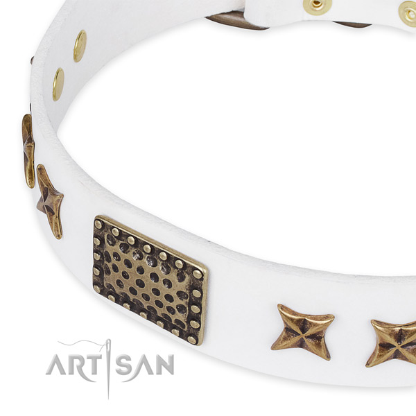 Leather collar with corrosion resistant hardware for your lovely four-legged friend