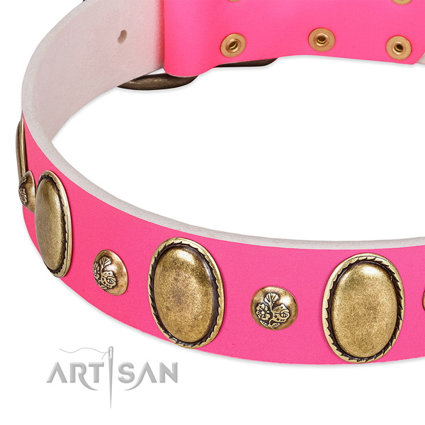 Stylish walking reliable full grain leather dog collar