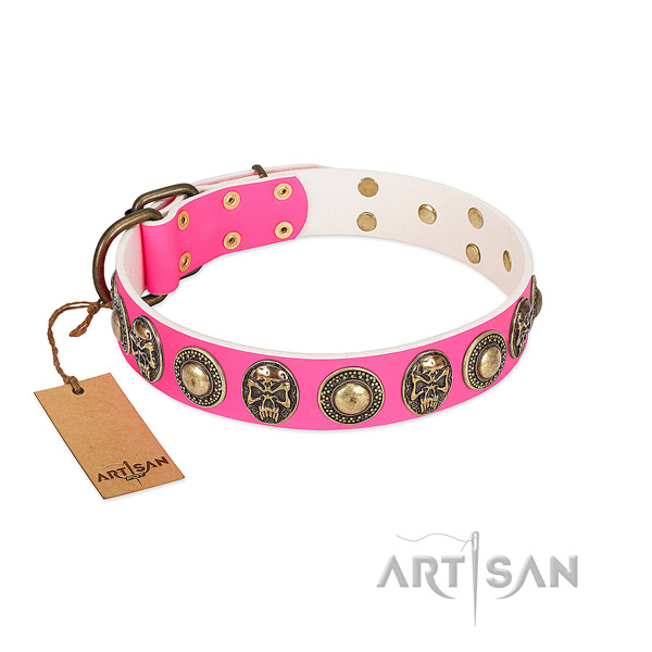 Easy wearing full grain leather dog collar for everyday walking your dog