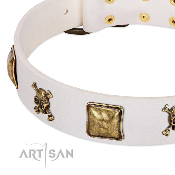 Unique full grain genuine leather dog collar with rust resistant embellishments