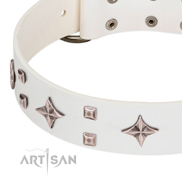 Top notch genuine leather dog collar for comfortable wearing