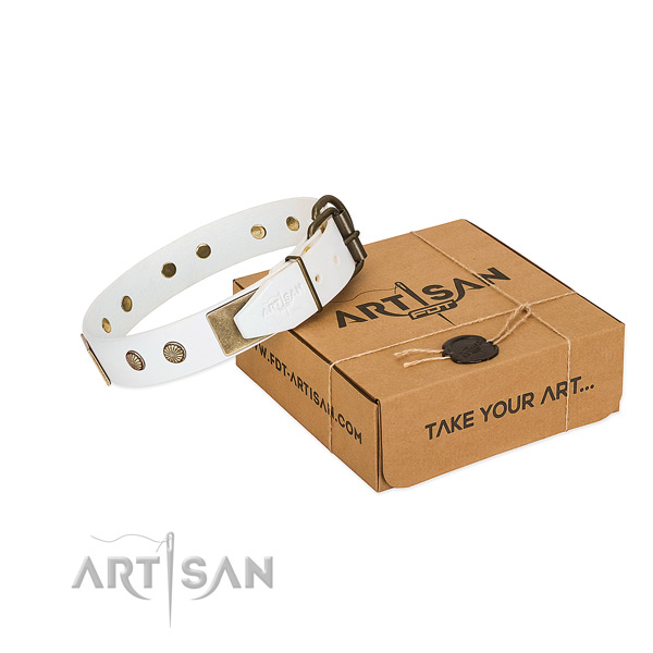 Reliable traditional buckle on dog collar for walking