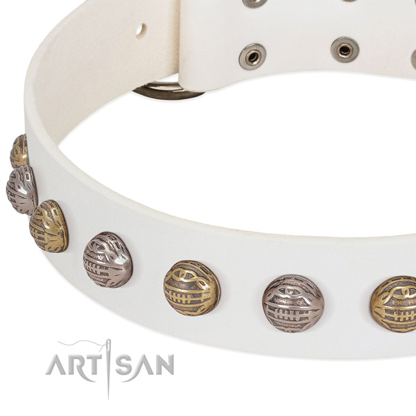 Durable fittings on full grain genuine leather collar for fancy walking your canine