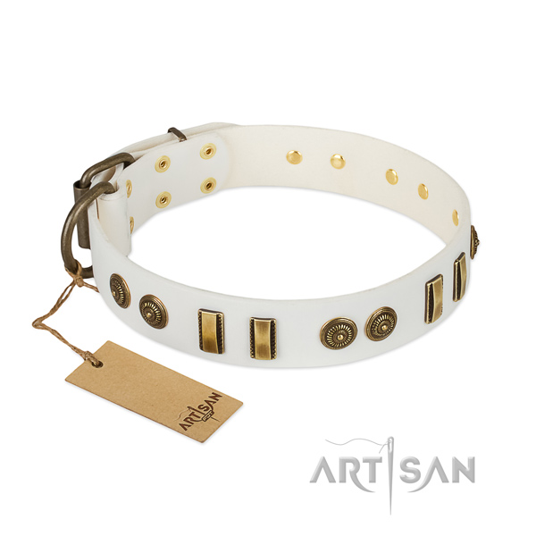 Rust resistant adornments on full grain leather dog collar for your canine