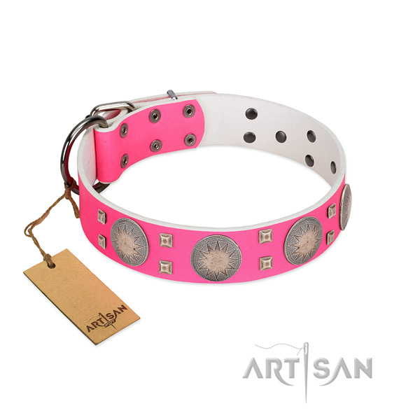 Handmade full grain natural leather dog collar with strong traditional buckle