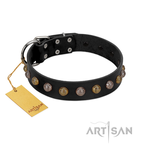 Corrosion proof D-ring on leather dog collar for walking your pet